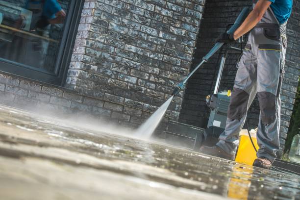 Best Fleet Vehicle Washing  in Kalida, OH