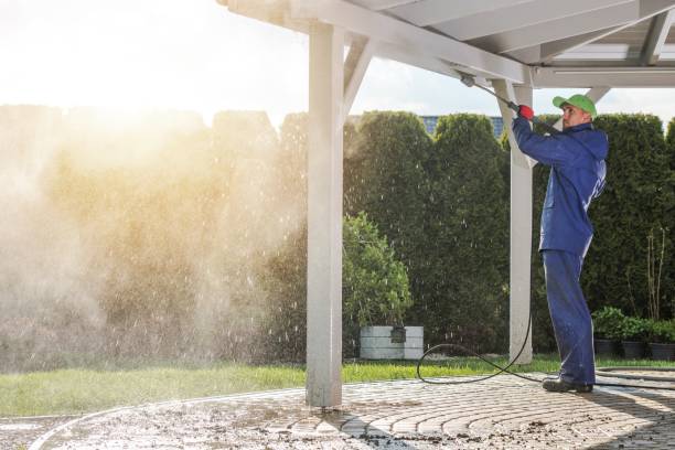 Animal Enclosure Cleaning in Kalida, OH