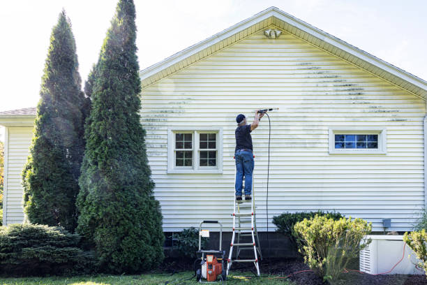 Best Fence Cleaning  in Kalida, OH